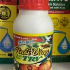 Ruồi vàng TRV