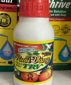 Ruồi vàng TRV