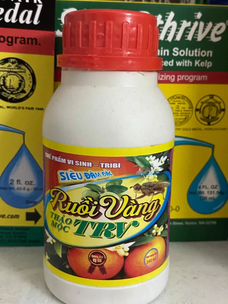 Ruồi vàng TRV