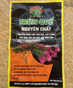 Trùn quế nguyên chất