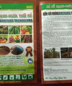 Chế phẩm vi sinh St01